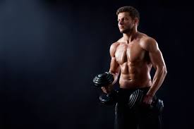 FitterNest